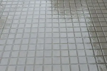 tile-protective-sealant-coating Grout/Sealant Application