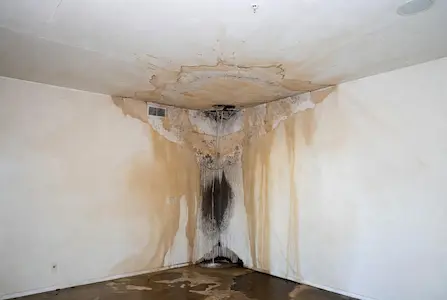 water-intrusion-from-roof-leak Water intrusion from roof leaks