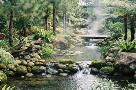 Naturalistic Ponds & Stream Ecosystems Naturalistic Ponds & Stream Ecosystems