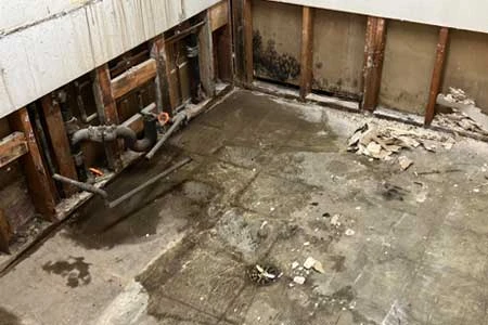 fast water damage cleanup fast water damage cleanup